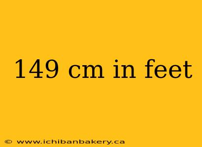 149 cm in feet