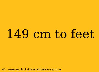 149 cm to feet