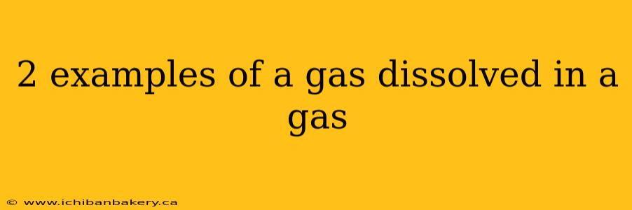 2 examples of a gas dissolved in a gas