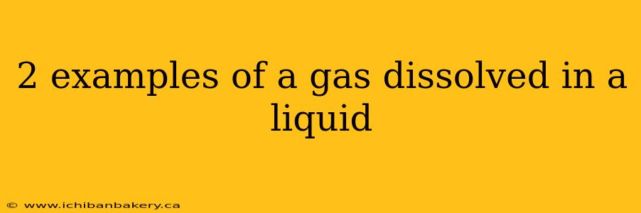 2 examples of a gas dissolved in a liquid