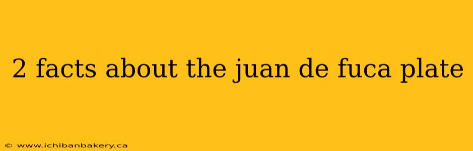 2 facts about the juan de fuca plate