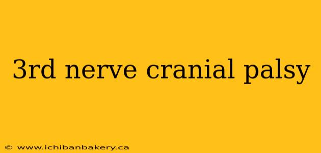 3rd nerve cranial palsy