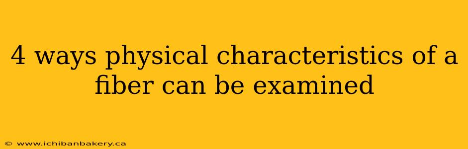 4 ways physical characteristics of a fiber can be examined