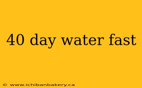 40 day water fast