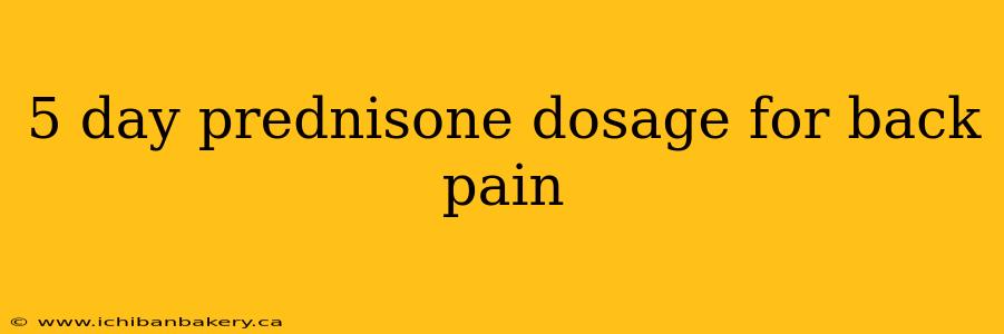 5 day prednisone dosage for back pain