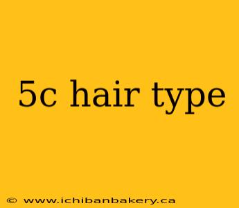 5c hair type