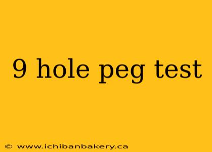 9 hole peg test