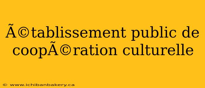 Ã©tablissement public de coopÃ©ration culturelle