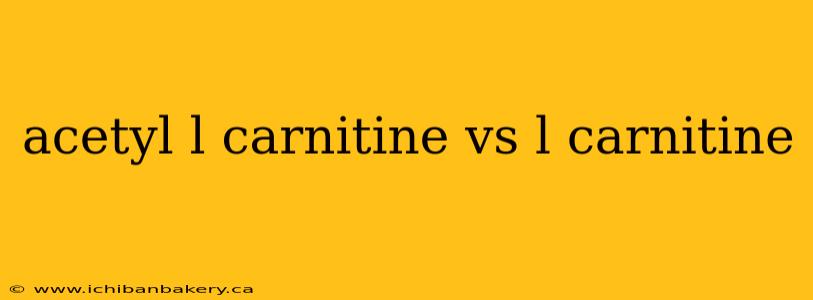 acetyl l carnitine vs l carnitine