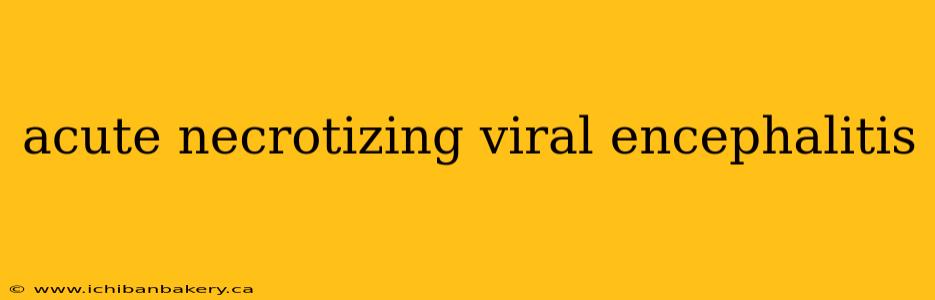 acute necrotizing viral encephalitis