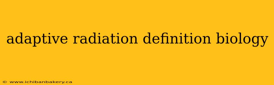 adaptive radiation definition biology