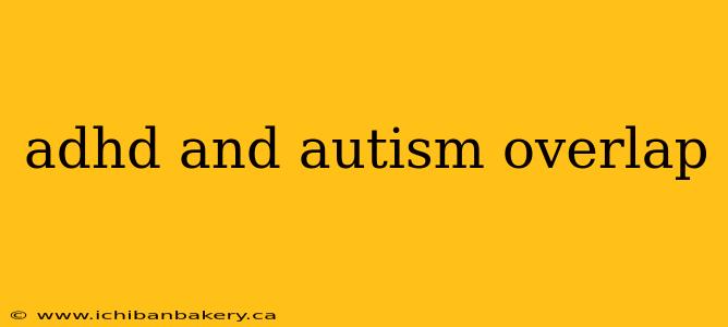 adhd and autism overlap