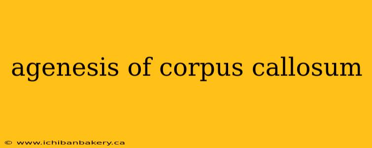 agenesis of corpus callosum