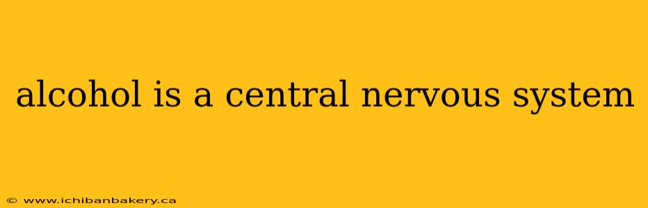 alcohol is a central nervous system
