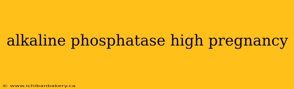 alkaline phosphatase high pregnancy