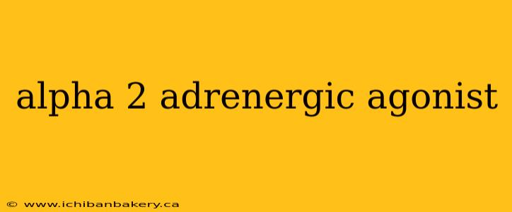 alpha 2 adrenergic agonist