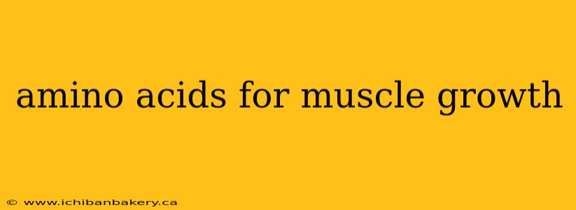 amino acids for muscle growth