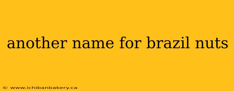 another name for brazil nuts