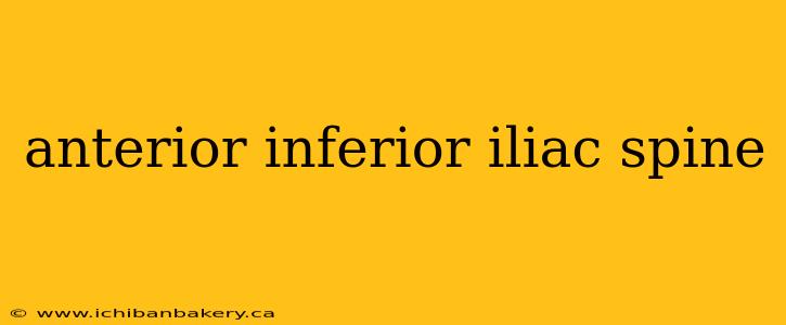 anterior inferior iliac spine