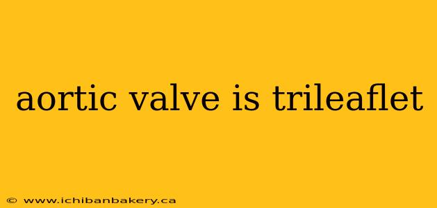 aortic valve is trileaflet