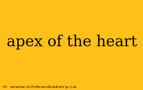 apex of the heart