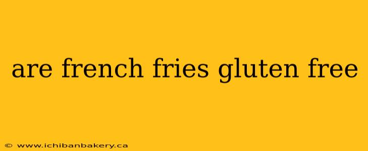 are french fries gluten free