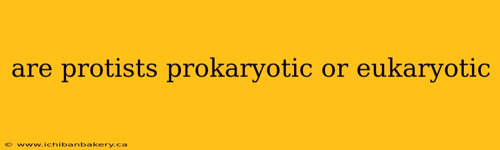 are protists prokaryotic or eukaryotic