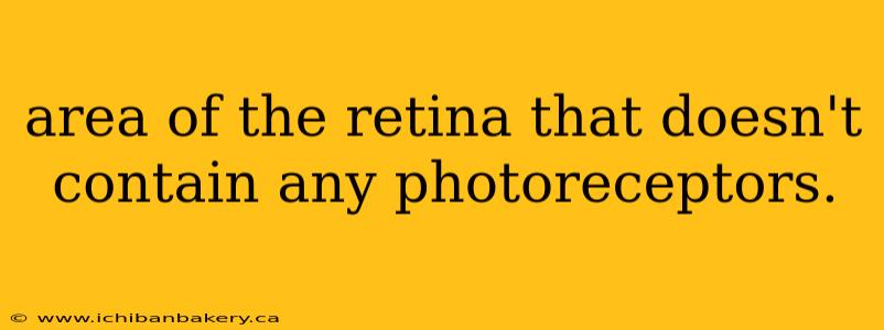 area of the retina that doesn't contain any photoreceptors.