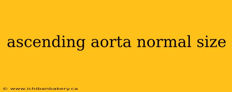 ascending aorta normal size