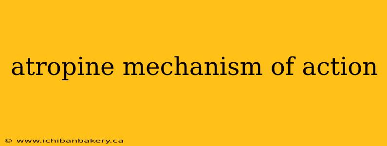 atropine mechanism of action