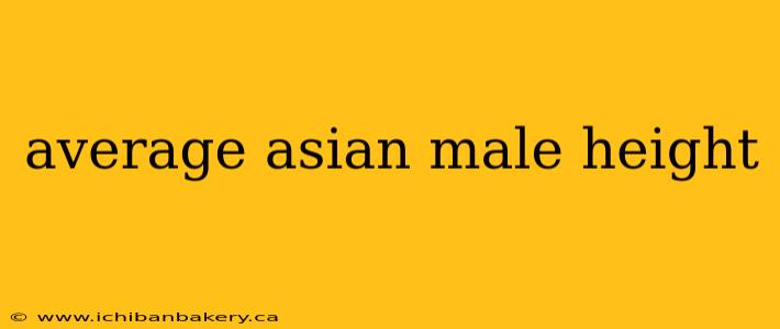 average asian male height