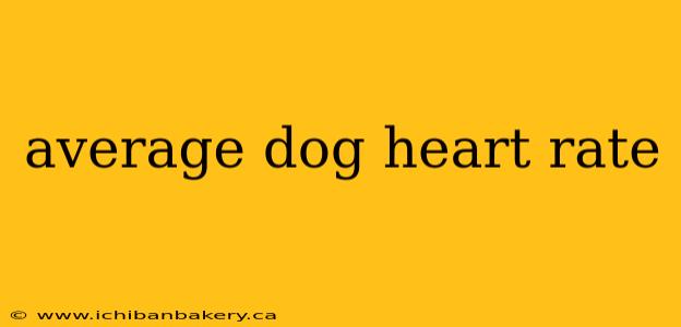 average dog heart rate