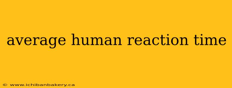 average human reaction time