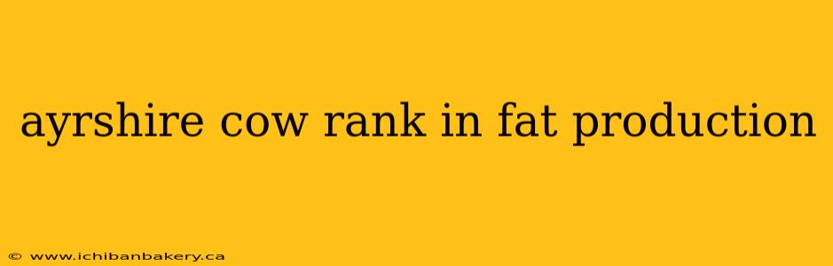 ayrshire cow rank in fat production
