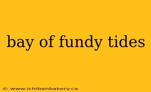 bay of fundy tides