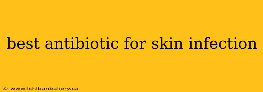 best antibiotic for skin infection