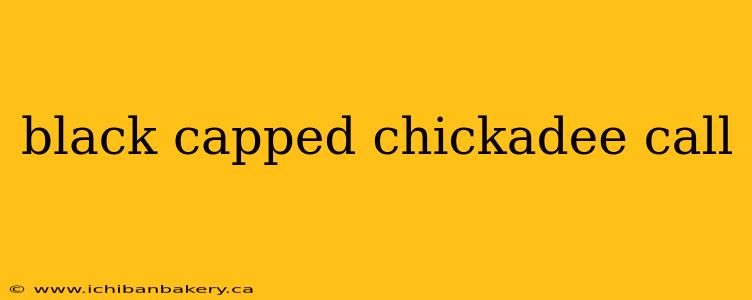 black capped chickadee call