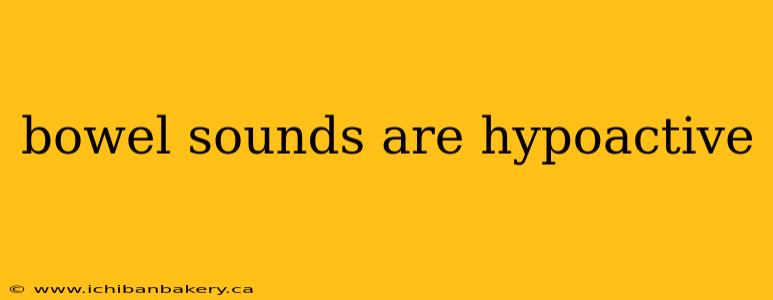 bowel sounds are hypoactive