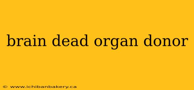 brain dead organ donor