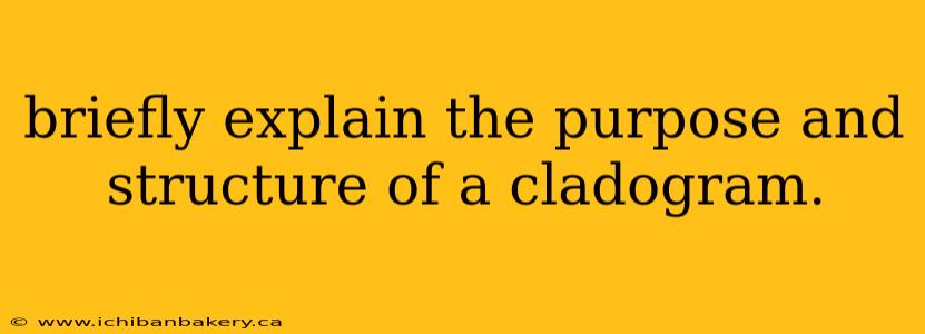 briefly explain the purpose and structure of a cladogram.