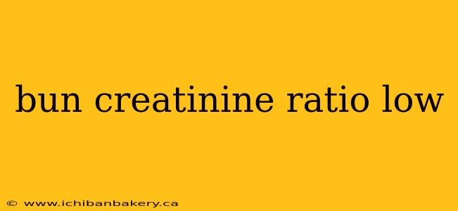 bun creatinine ratio low