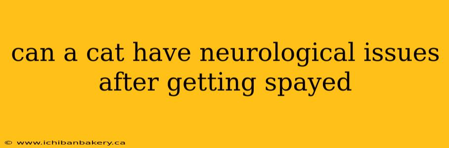 can a cat have neurological issues after getting spayed