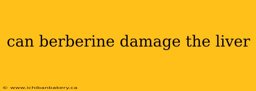 can berberine damage the liver