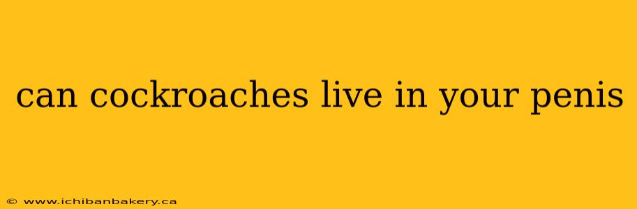 can cockroaches live in your penis