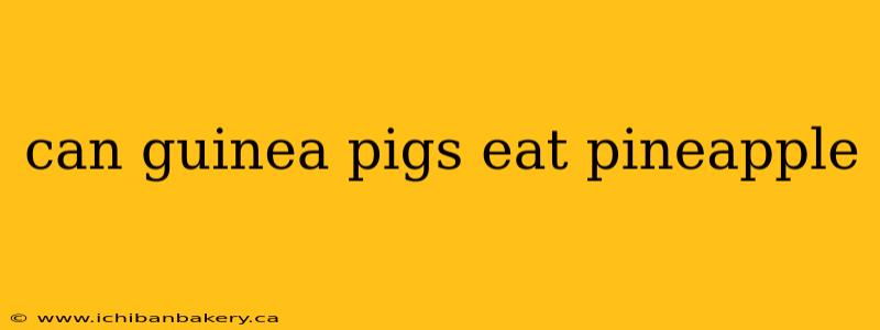 can guinea pigs eat pineapple