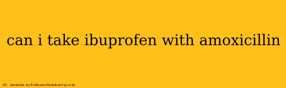 can i take ibuprofen with amoxicillin
