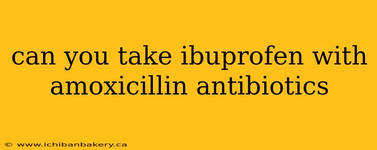 can you take ibuprofen with amoxicillin antibiotics
