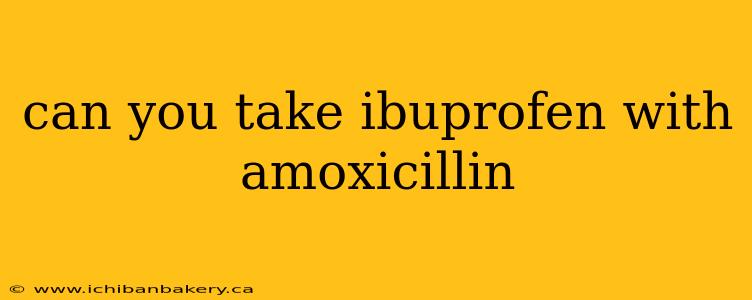 can you take ibuprofen with amoxicillin