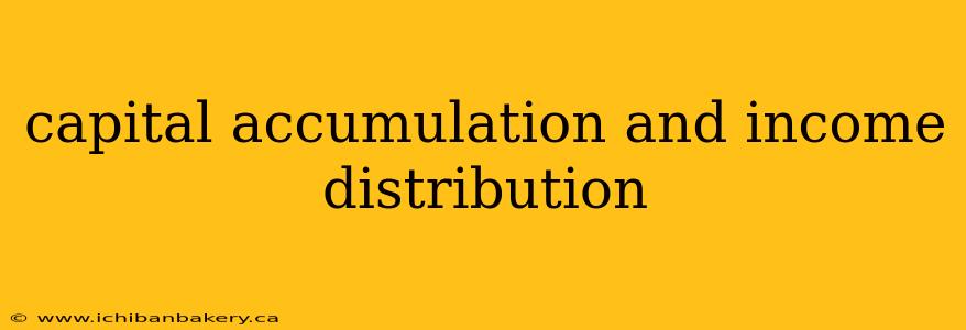 capital accumulation and income distribution