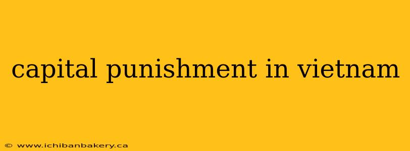 capital punishment in vietnam